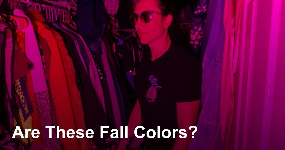thumbnail image for Are These Fall Colors? photo gallery