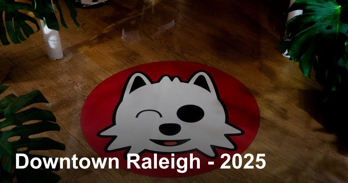 thumbnail image for Downtown Raleigh - 2025 photo gallery